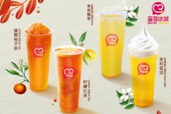 蜜雪冰城加盟费用，依据城市等级产生变化!